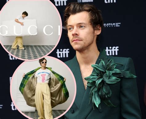 harry styles gucci teddy bear|harry styles gucci controversy.